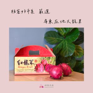 枋客文旅在地嚴選火龍果屏東伴手禮推薦